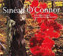 Sinéad O'Connor : If You Had a Vineyard
